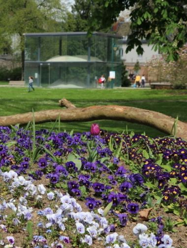 Parc de Tessé